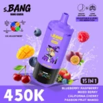 Bang Leader 450K Puffs Blueberry Raspberry Mixed Berry California Cherry Passion Fruit Mango Flavor