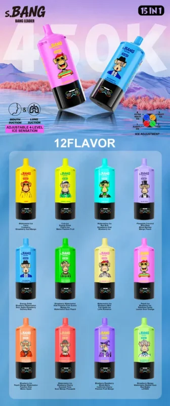Bang Leader 450K Puffs 15-in-1 Flavor List Display - 12 Flavor Combos Selection Guide