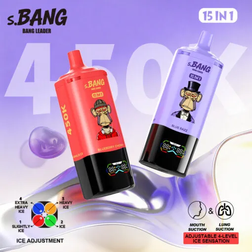 Bang Leader 450K Puffs 15-in-1 Disposable Vape Main Image - 450000 Puffs Multi-Flavor Rechargeable Vape