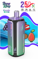Bang King 250K Puffs 4-in-1 Vanilla Cola Lemon Peach Strawberry Raspberry Cherry Ice Grape Ice Flavor - 100vaping