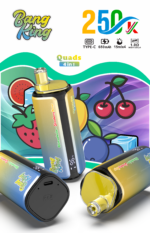 Bang King 250K Puffs 4-in-1 Pink Lemonade Kiwi Passion Fruit Guava Peach Berry Strawberry Banana Flavor - 100vaping
