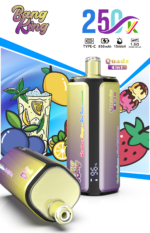 Bang King 250K Puffs 4-in-1 Mixed Berry Cherry Lemon Strawberry Kiwi Strawberry Watermelon Bubblegum Flavor - 100vaping