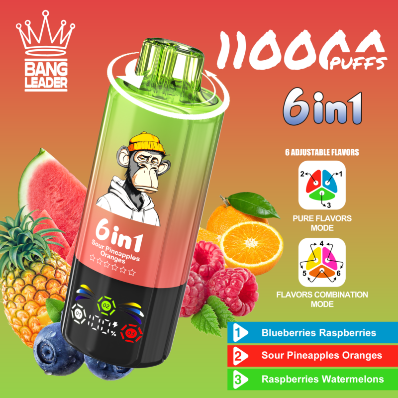 Bang Leader 110K Puffs 6-in-1 Blueberries Raspberries Sour Pineapples Oranges Raspberries Watermelons Flavor - 100vaping