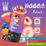 Bang Leader 110K Puffs 6-in-1 Grape Ice Mango Peach Blueberry Watermelon Flavor - 100vaping