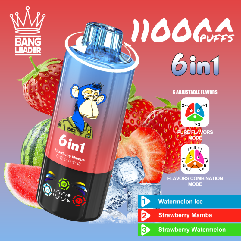 Bang Leader 110K Puffs 6-in-1 Watermelon Ice Strawberry Mamba Strawberry Watermelon Flavor - 100vaping