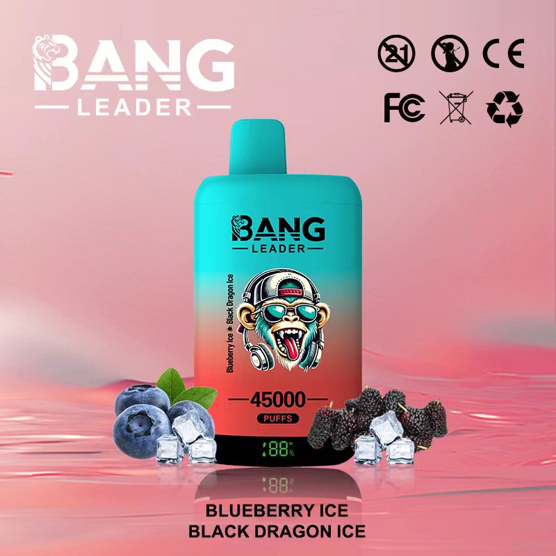 Bang Leader 45K Puffs Blueberry Ice Black Dragon Ice Flavor Disposable Vape - 100vaping