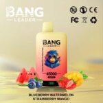 Bang Leader 45K Puffs Blueberry Watermelon Strawberry Mango Flavor Disposable Vape - 100vaping