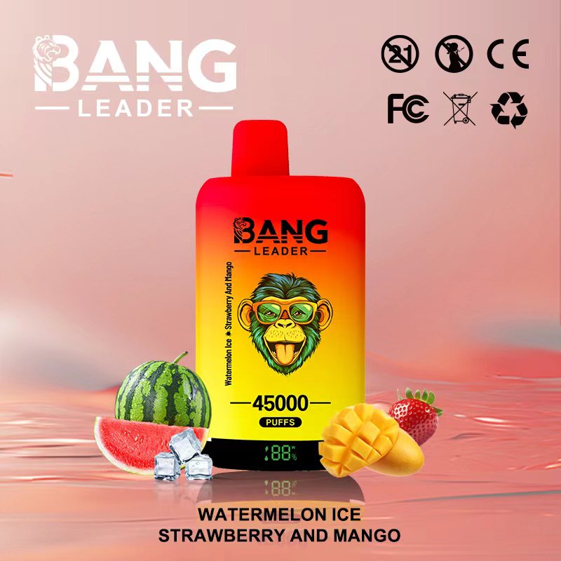 Bang Leader 45K Puffs Watermelon Ice Strawberry And Mango Flavor Disposable Vape - 100vaping