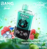 Bang Leader Stoll 120K Puffs Raspberry Mojito Peach Ice Lady Killer Flavor - 100vaping