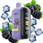 ELF BAR GH23000 23000 Puffs Black Ice Flavor Disposable Vape - 100vaping