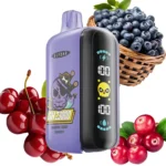ELF BAR GH23000 23000 Puffs Blueberry Cherry Cranberry Flavor Disposable Vape - 100vaping