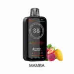 HIFANCY LUXURY BOX 18000 Puffs Mango Flavor Disposable Vape - 100vaping