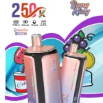 Bang King 250K Puffs 4-in-1 Disposable Vape Rechargeable