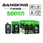 Bang King Twins 50K Puffs Double Lime & Ice Aloe Vera Flavor Disposable Vape - 100vaping