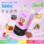 Bang DE 300K Puffs 5-in-1 Mixed Berries Watermelon Ice Apple Pear Blueberry Cherry Strawberry Banana Flavor - 100vaping