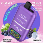 Fizzy Twins 50000 50K Puffs Blueberry Coconut & Grape Ice Flavor Disposable Vape - 100vaping