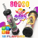 QQ Bang Shisha 80K Puffs Disposable Vape Main Image - 100vaping