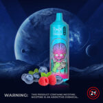 RandM Tornado 9000 Puffs Blueberry Raspberry Flavor Disposable Vape - 100vaping