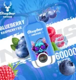 Stagbar Nexus 60K Puffs Blueberry Raspberry Ice Flavor Disposable Vape - 100vaping