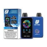 ZOOY ZERO 45K Puffs Blueberry Ice Flavor Disposable Vape - 100vaping