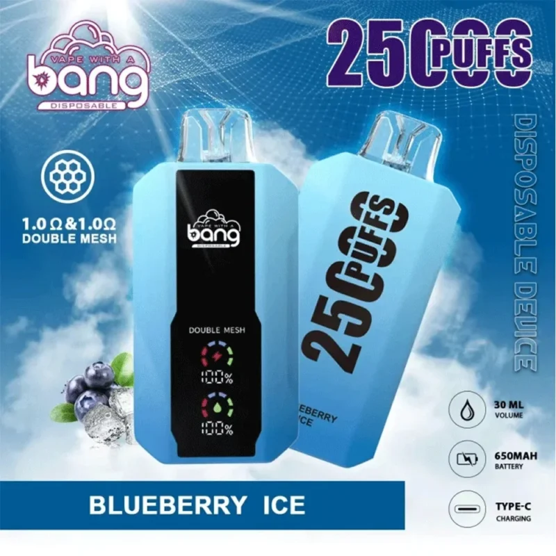 Bang 25K Puffs Disposable Vape Rechargeable – Blueberry Ice