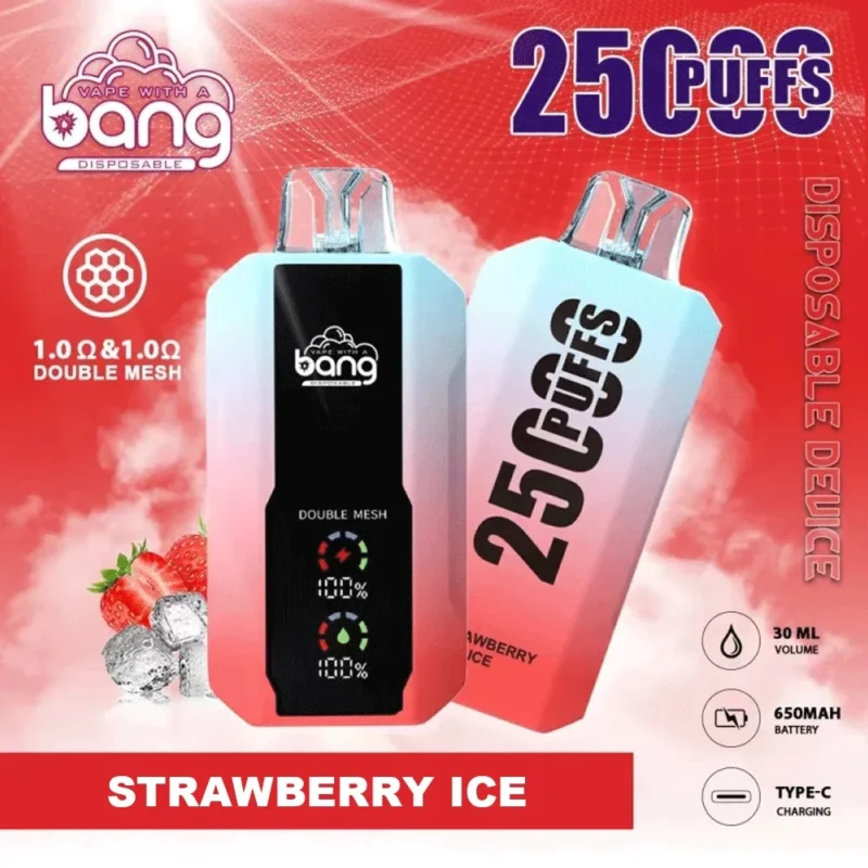 Bang 25K Puffs Disposable Vape Rechargeable – product view