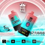 Bang Blaze 50K Puffs Dual Flavor Rechargeable Vape – Blueberry Ice