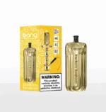 Bang E-Shisha Head 42K Puffs Gold LED Display Disposable Vape – Blueberry Raspberry