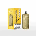 Bang E-Shisha Head 42K Puffs Gold LED Display Disposable Vape – Strawberry Lychee