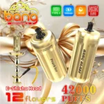 Bang E-Shisha Head 42K Puffs Gold LED Display Disposable Vape – product view