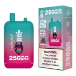 Bang King 25K Puffs 12-in-1 Disposable Vape – product view