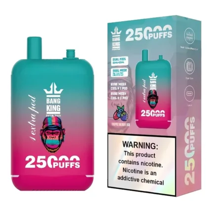 Bang King 25K Puffs 12-in-1 Disposable Vape – product view