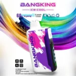 Bang King Ice 60K Puffs Disposable Vape – product view