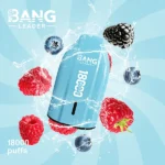 Bang Leader 18K Vape 18000 Puffs Disposable Vape – product photo 7