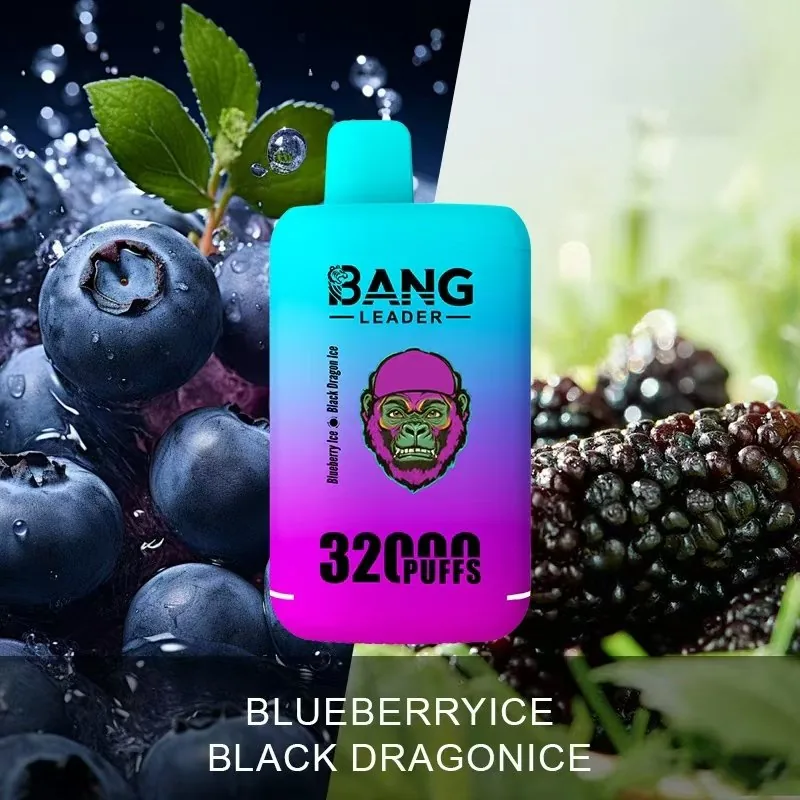 Bang Leader 32K Puffs Disposable Vape Rechargeable – product view