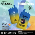 Bang Leader 80K Puffs Triple-Flavor Disposable Vape Rechargeable – Blueberry Ice