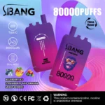 Bang Leader 80K Puffs Triple-Flavor Disposable Vape Rechargeable – Blueberry Ice
