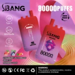 Bang Leader 80K Puffs Triple-Flavor Disposable Vape Rechargeable – Strawberry & Watermelon Ice