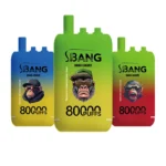 Bang Leader 80K Puffs Triple-Flavor Disposable Vape Rechargeable – product view