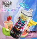 Bang Leader Stoll 100K Puffs 4-in-1 Flavors LED Display Disposable Vape – Pink Lemonade & Grape Burs
