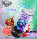 Bang Leader Stoll 100K Puffs 4-in-1 Flavors LED Display Disposable Vape – Strawberry Watermelon