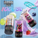 Bang Leader Stoll 100K Puffs 4-in-1 Flavors LED Display Disposable Vape – product view