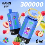 Bang Leader Stoll 300K Puffs 6-in-1 Disposable Vape Rechargeable – Watermelon Ice & Pineapple Coconu