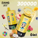 Bang Leader Stoll 300K Puffs 6-in-1 Disposable Vape Rechargeable – product view